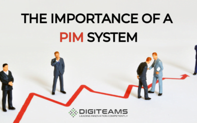 The Crucial Role of Product Information Management (PIM) in Today’s Market